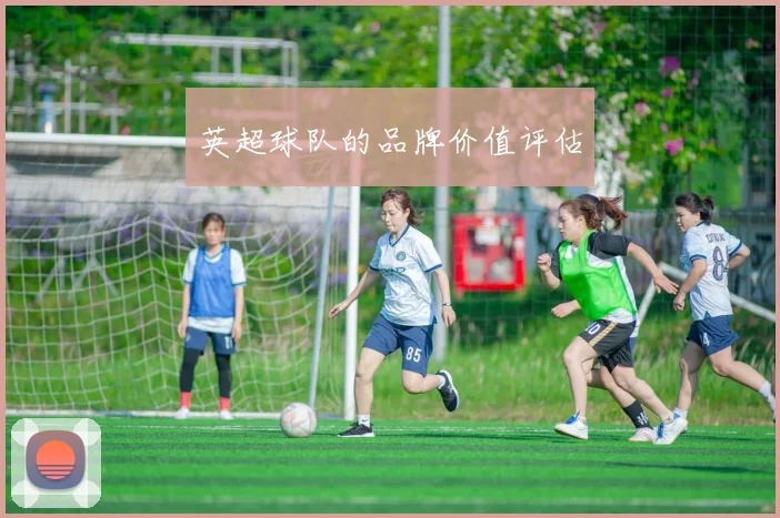 英超球队的品牌价值评估