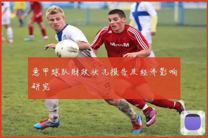 意甲球队财政状况报告及经济影响研究